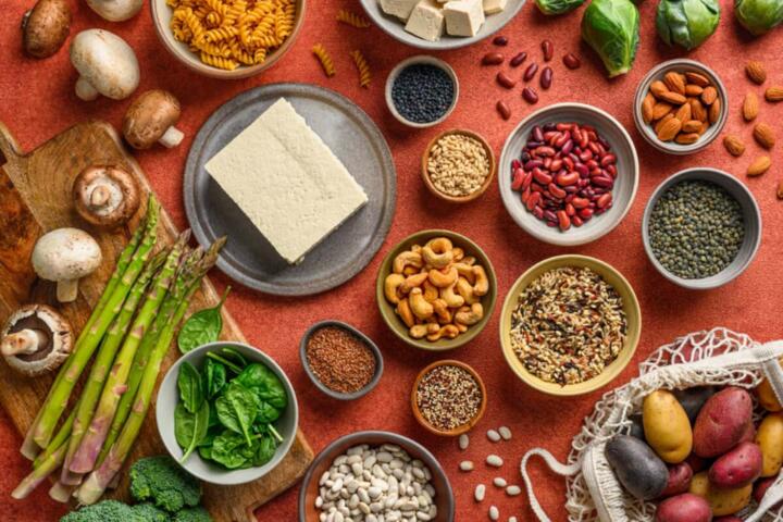 Plant-Based Protein Sources for Active Lifestyles