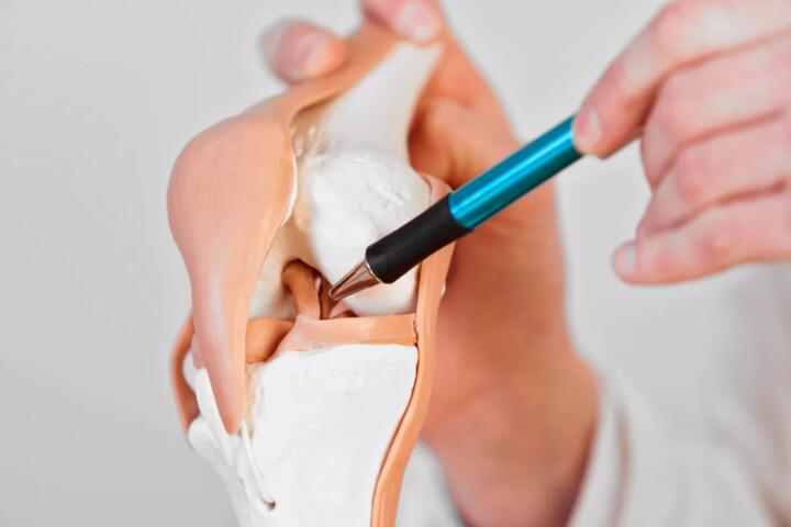 How the Body Repairs Tissue Over Time